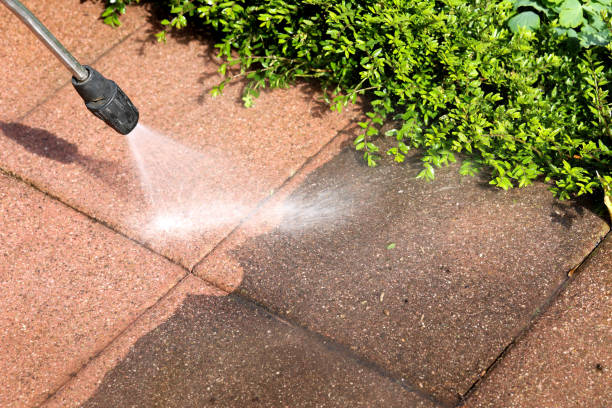 Best Roof Power Washing Services  in Bunker Hl, IL